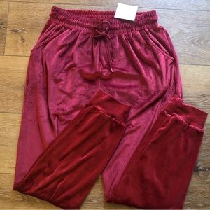 🌺LAST ONE!!! Burgundy Velour Style Joggers!!🌺
